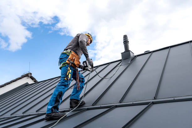 Best Steel Roofing  in Pocono Ranch Lands, PA